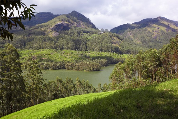 Periyar Nationaal Park, Zuid-India
